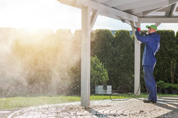 Best Graffiti Removal  in Santaquin, UT