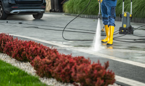 Best Gutter Cleaning  in Santaquin, UT
